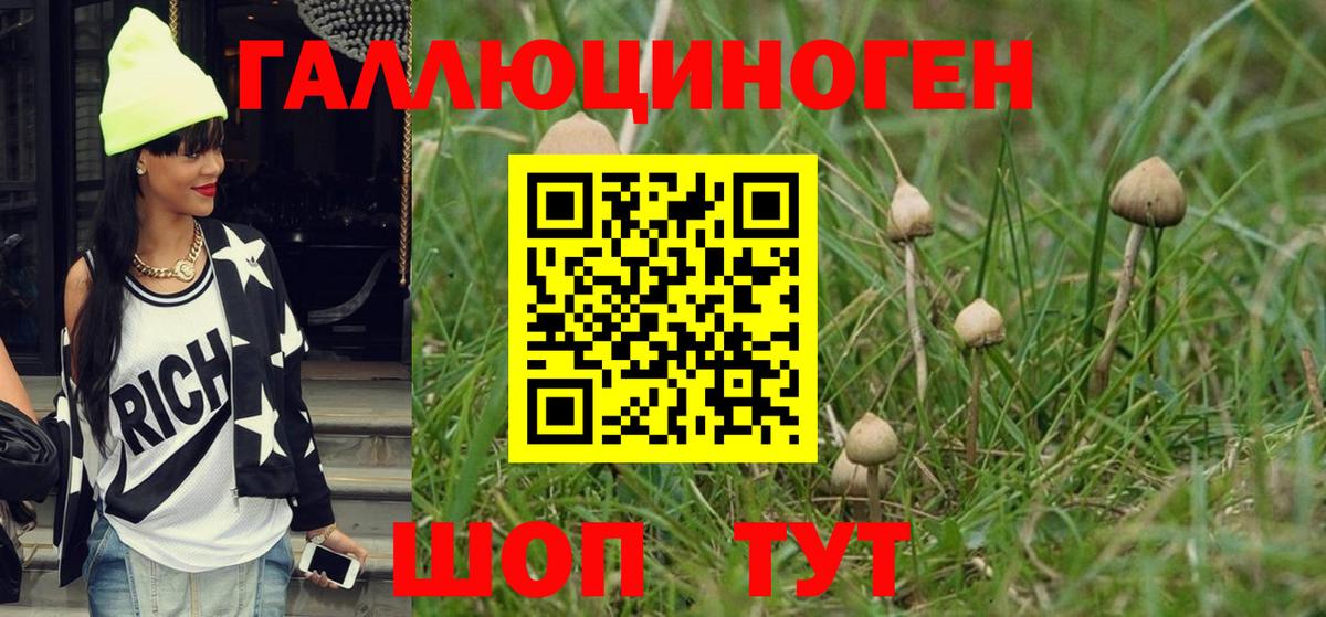 Галлюциногенные грибы GOLDEN TEACHER  Псилоцибиновые грибы ЛСД  как найти   Юрга  Вход с VPN 